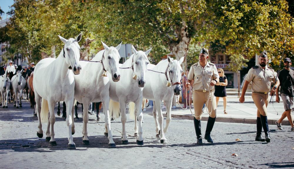 PARADA HIPICA DIA MUNDIAL DEL CABALLO 2025 11
