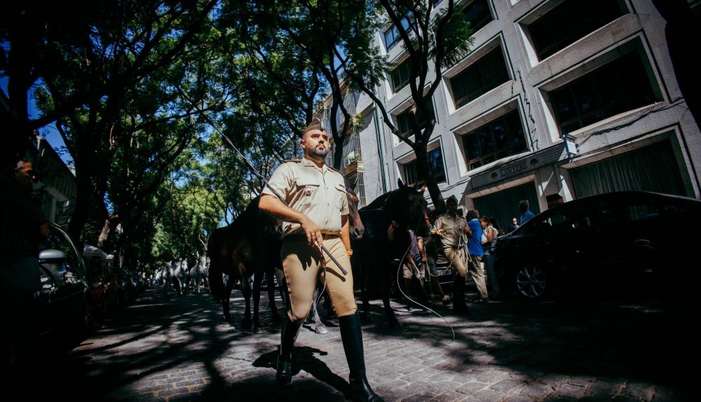 PARADA HIPICA DIA MUNDIAL DEL CABALLO 2025 21