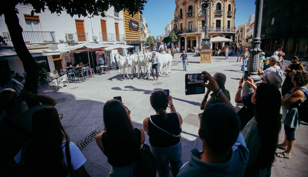 PARADA HIPICA DIA MUNDIAL DEL CABALLO 2025 31