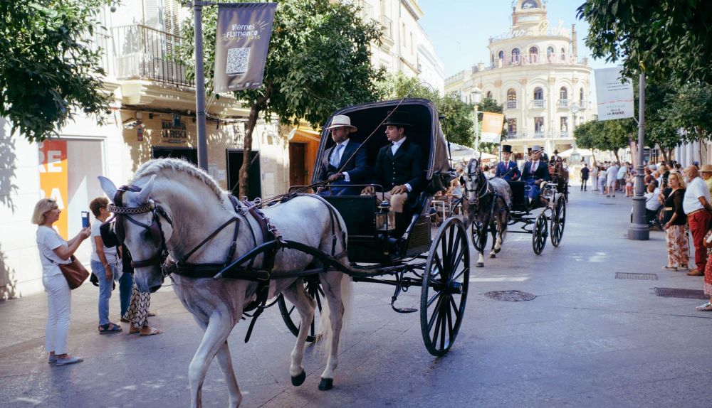 PARADA HIPICA DIA MUNDIAL DEL CABALLO 2025 33