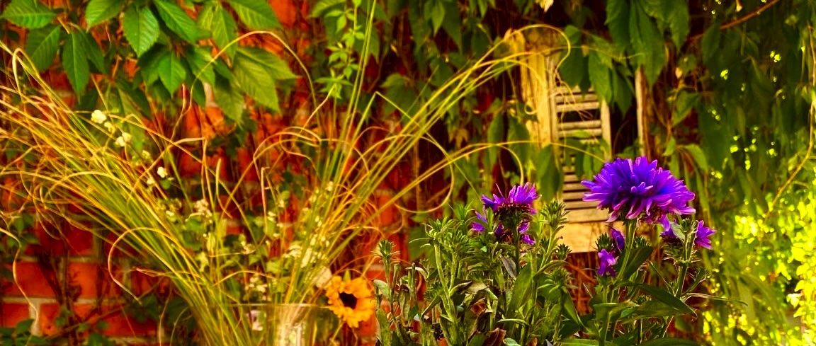 Verano del 25: el verano se desinfló, por Pablo Martínez-Calleja.