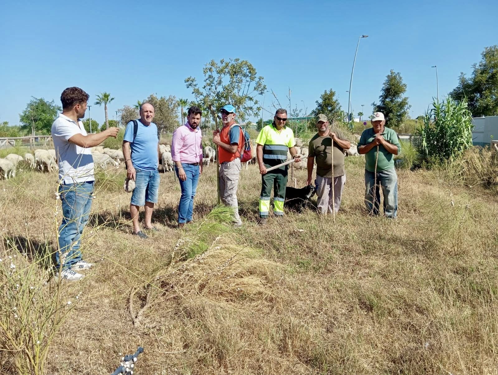 Así desbrozan áreas naturales de Rota.