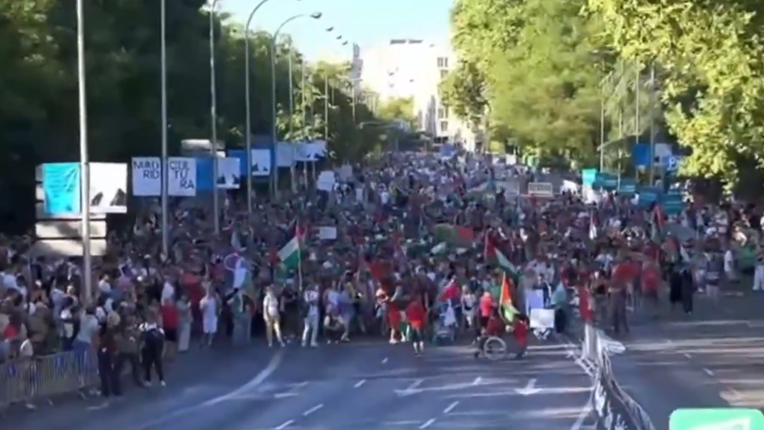 Los incidentes vividos en la etapa final de La Vuelta.
