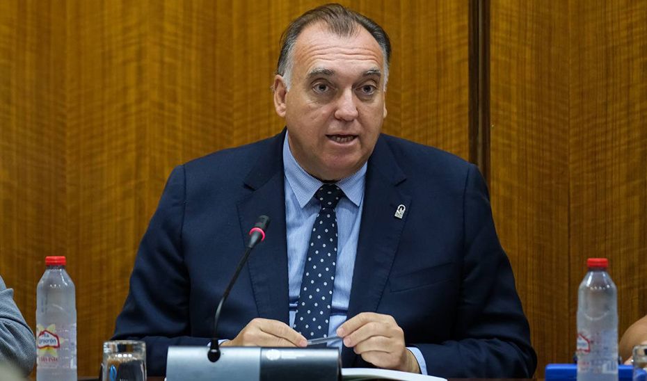 El consejero Bernal, en comisión parlamentaria.