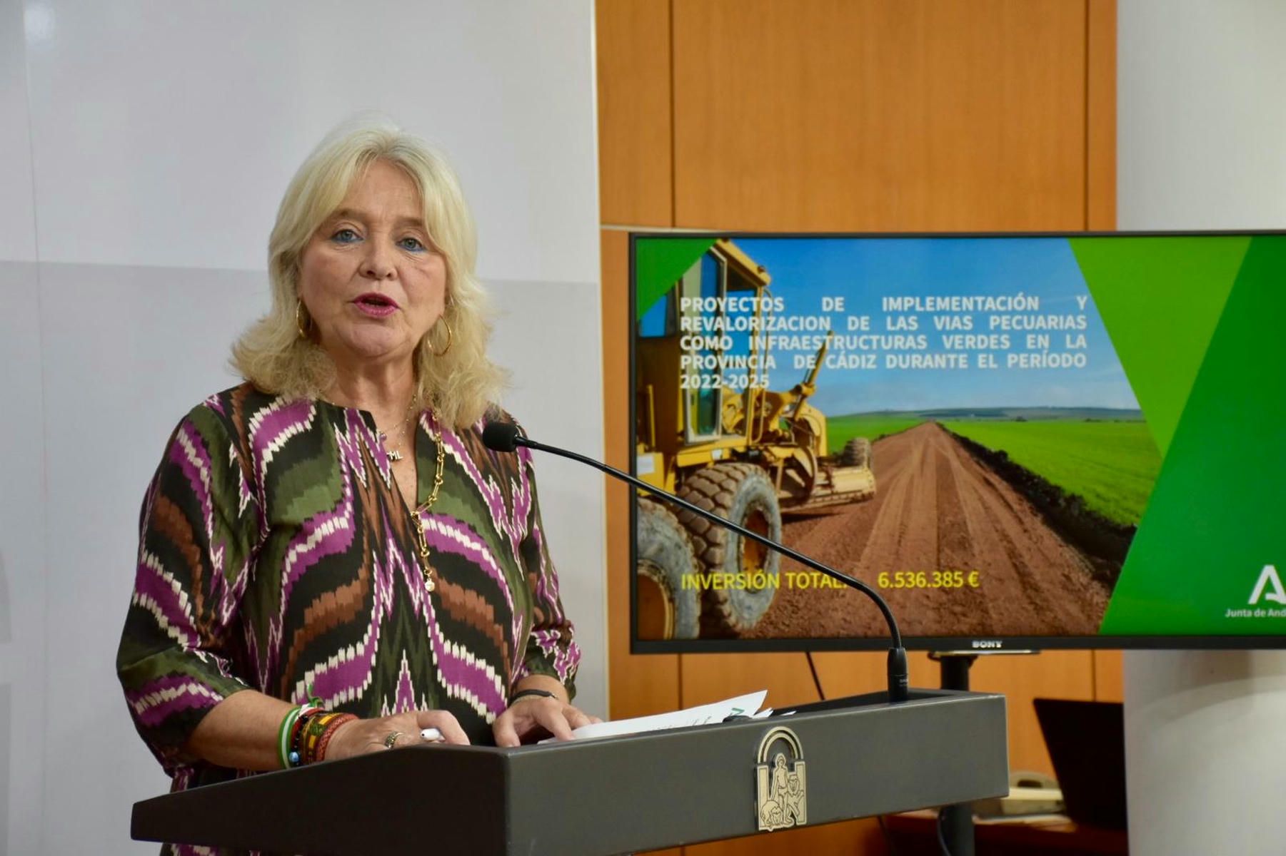 La delegada del Gobierno de la Junta de Andalucía, Mercedes Colombo.