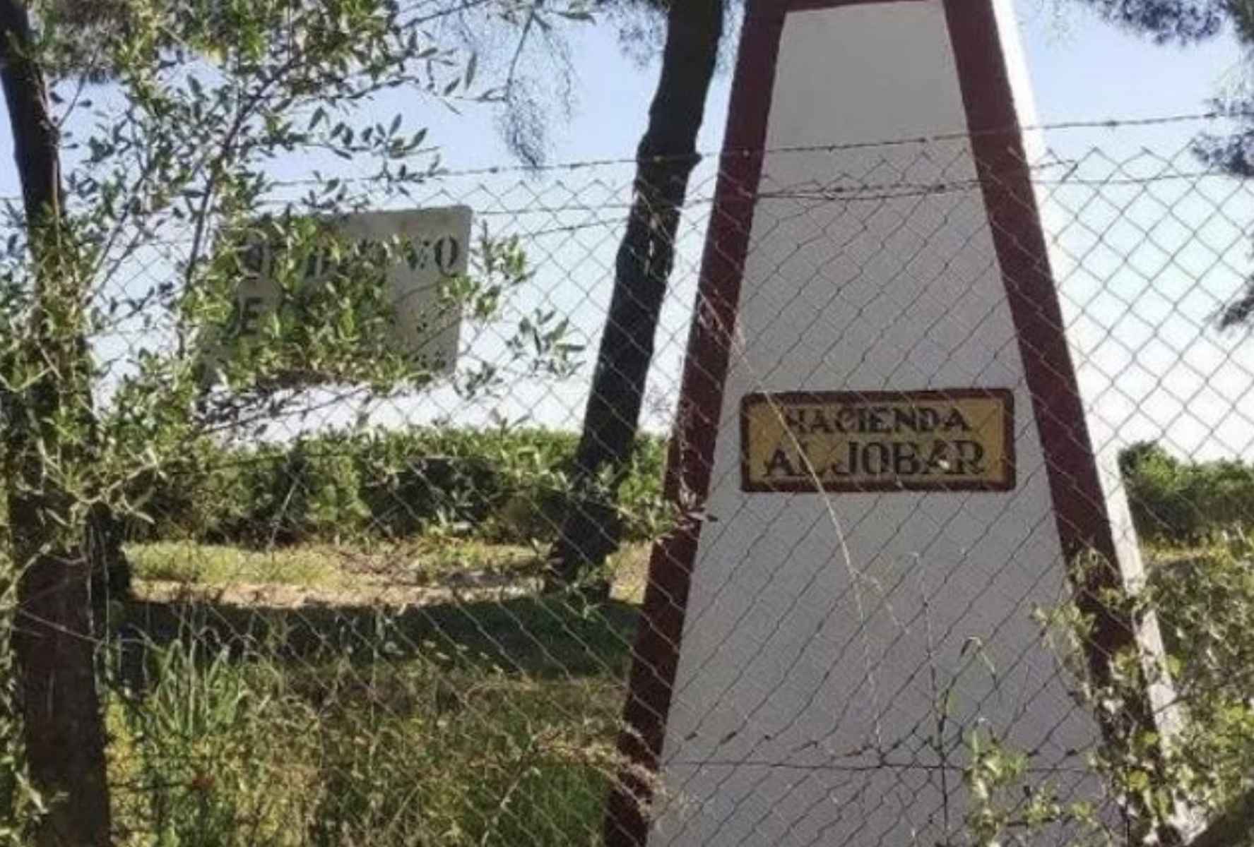 Una imagen de la finca de la Casa de Alba. Una imagen de la finca de la Casa de Alba.