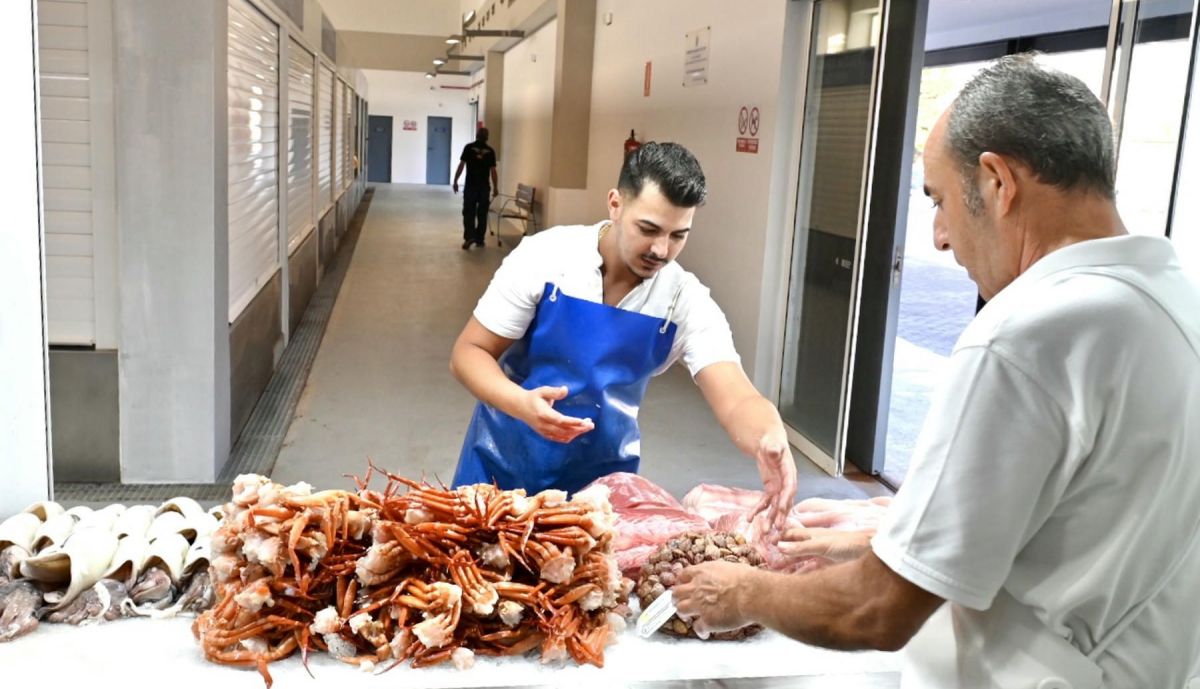 Mercado de Federico Mayo 7