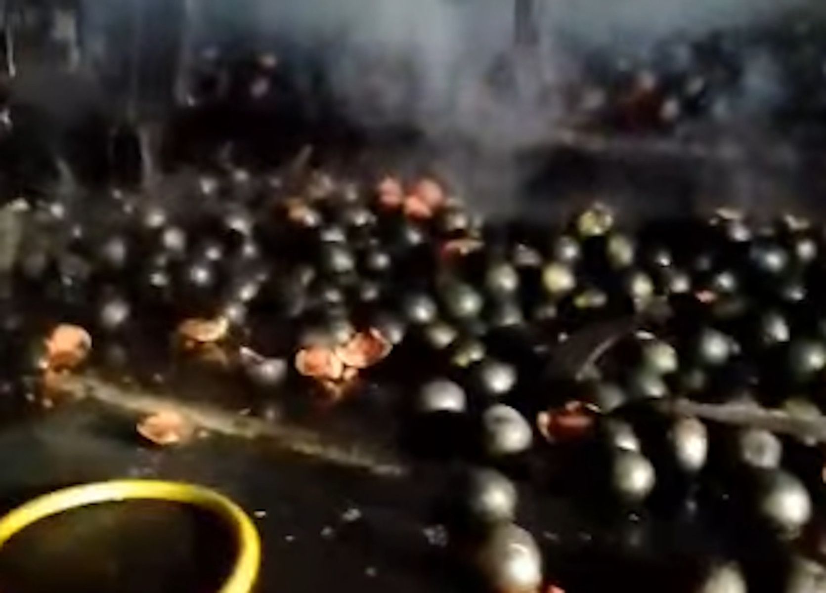 Sandías ardiendo en Huelva. Sandías ardiendo en Huelva.