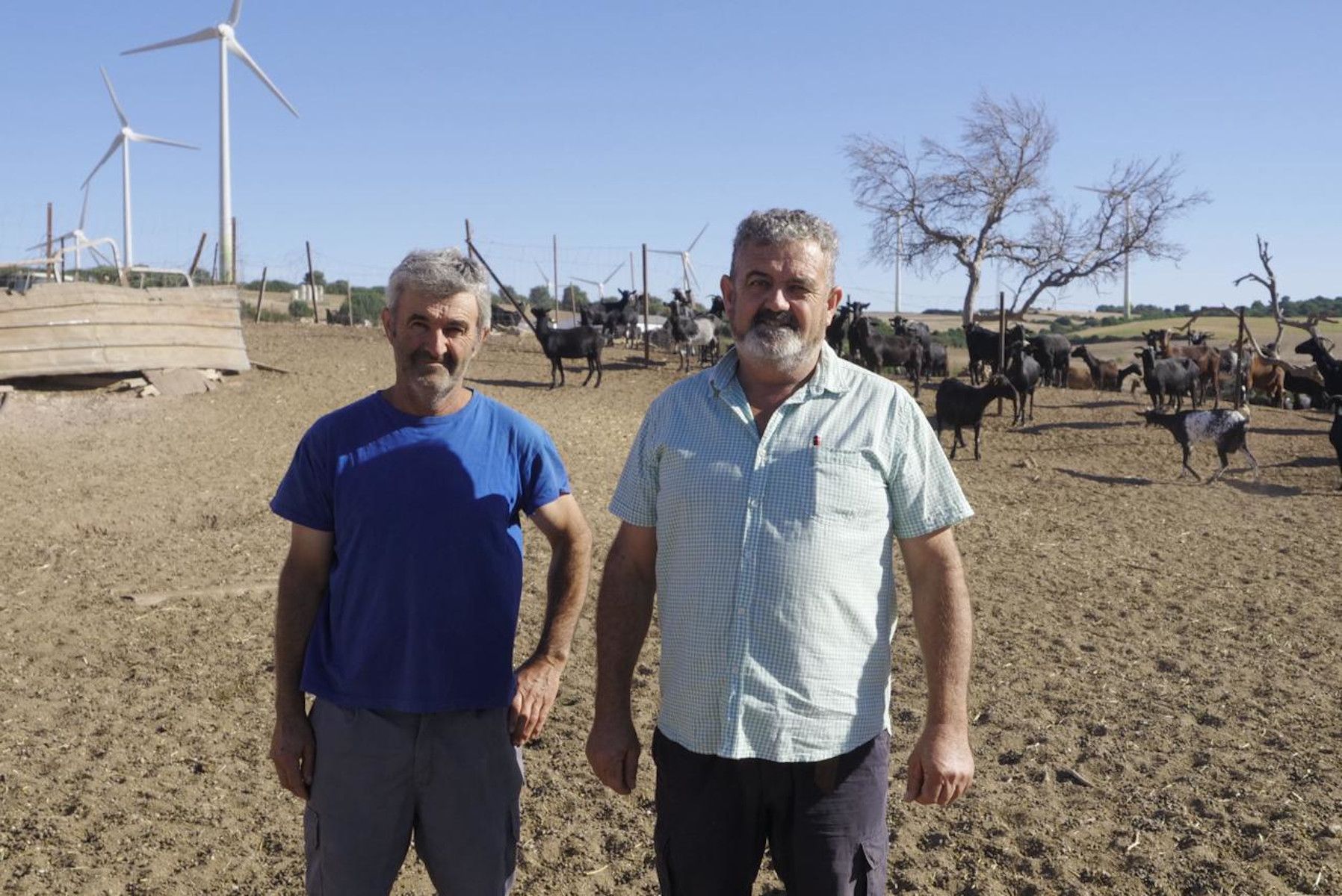 Los hermanos José Antonio y Pedro Javier Mateos López, al frente de quesos Los Hardales.