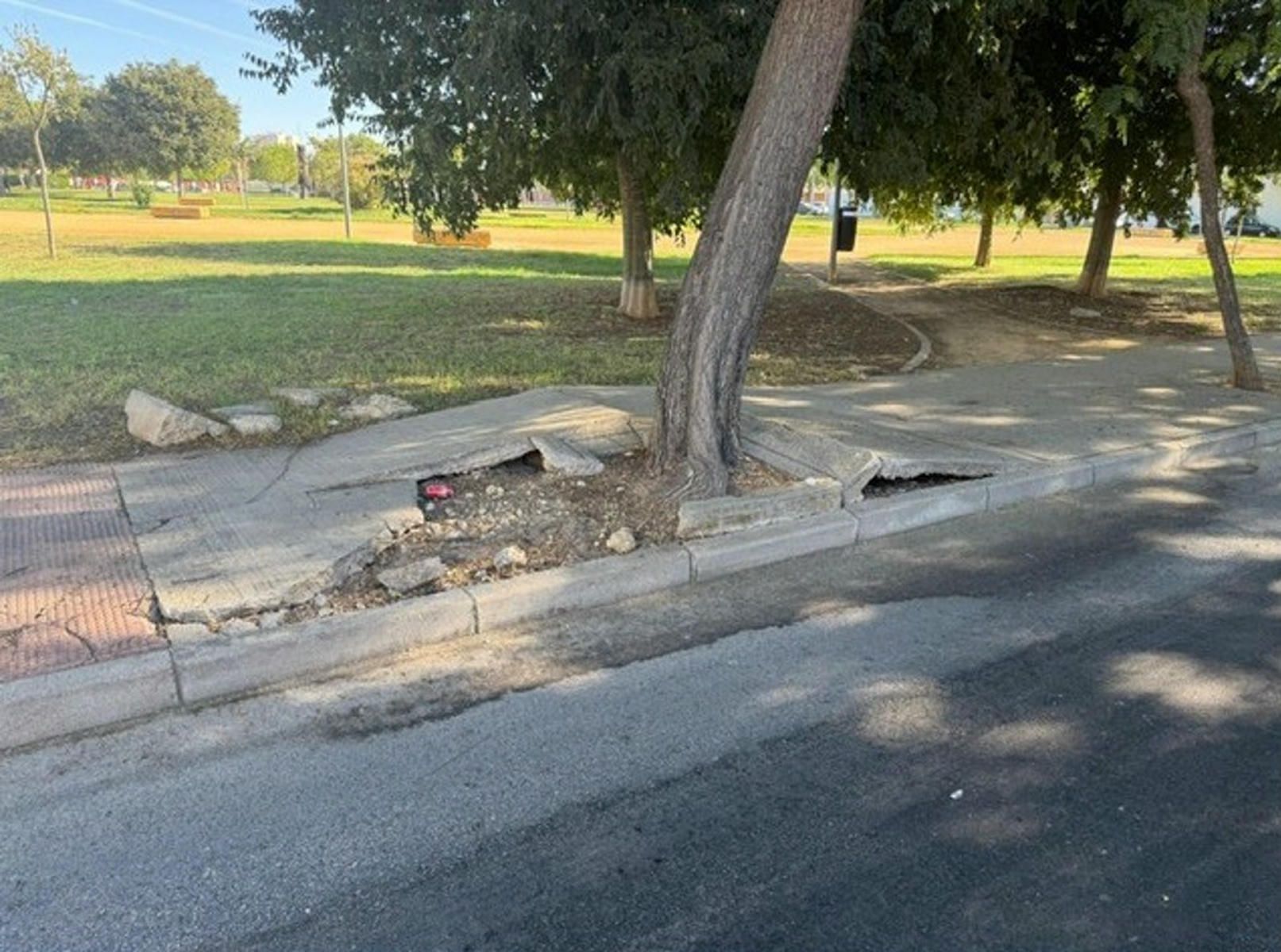 Aceras 'reventadas' de la calle Parque Timanfaya en Jerez.
