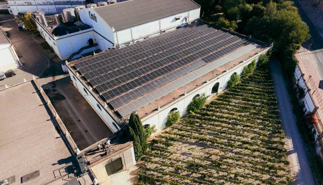 GONZALEZ BYASS MEDIO AMBIENTE 11