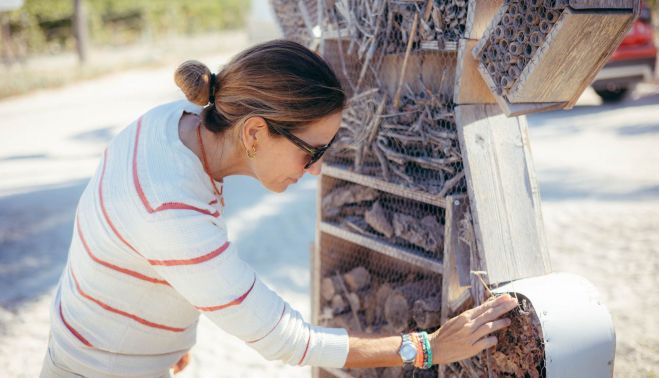 GONZALEZ BYASS MEDIO AMBIENTE 31