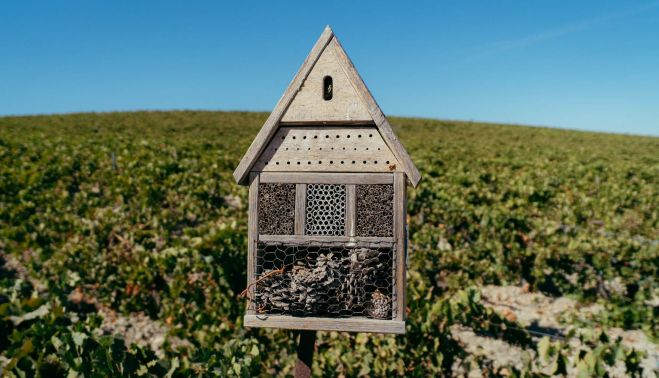 GONZALEZ BYASS MEDIO AMBIENTE 32