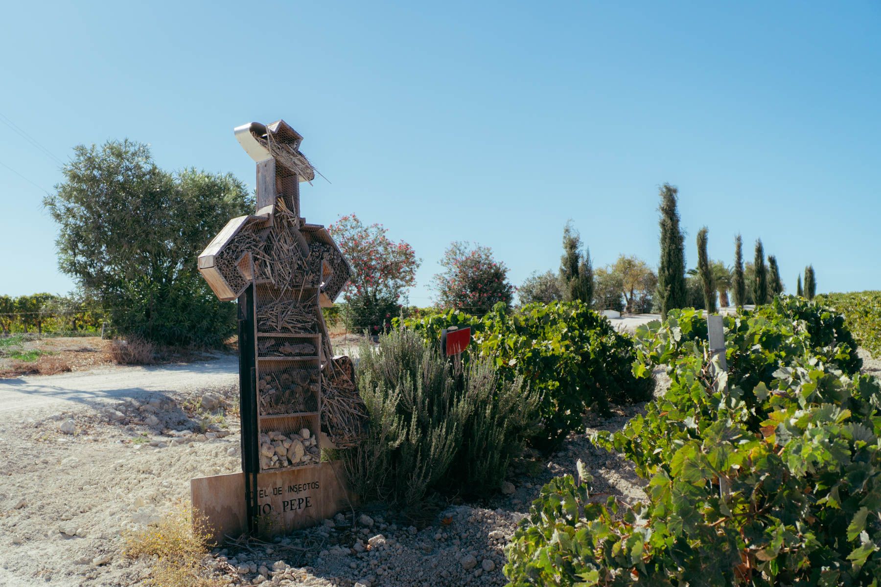 Actuaciones medioambientales con insectos en el viñedo de la Canariera, en Jerez.