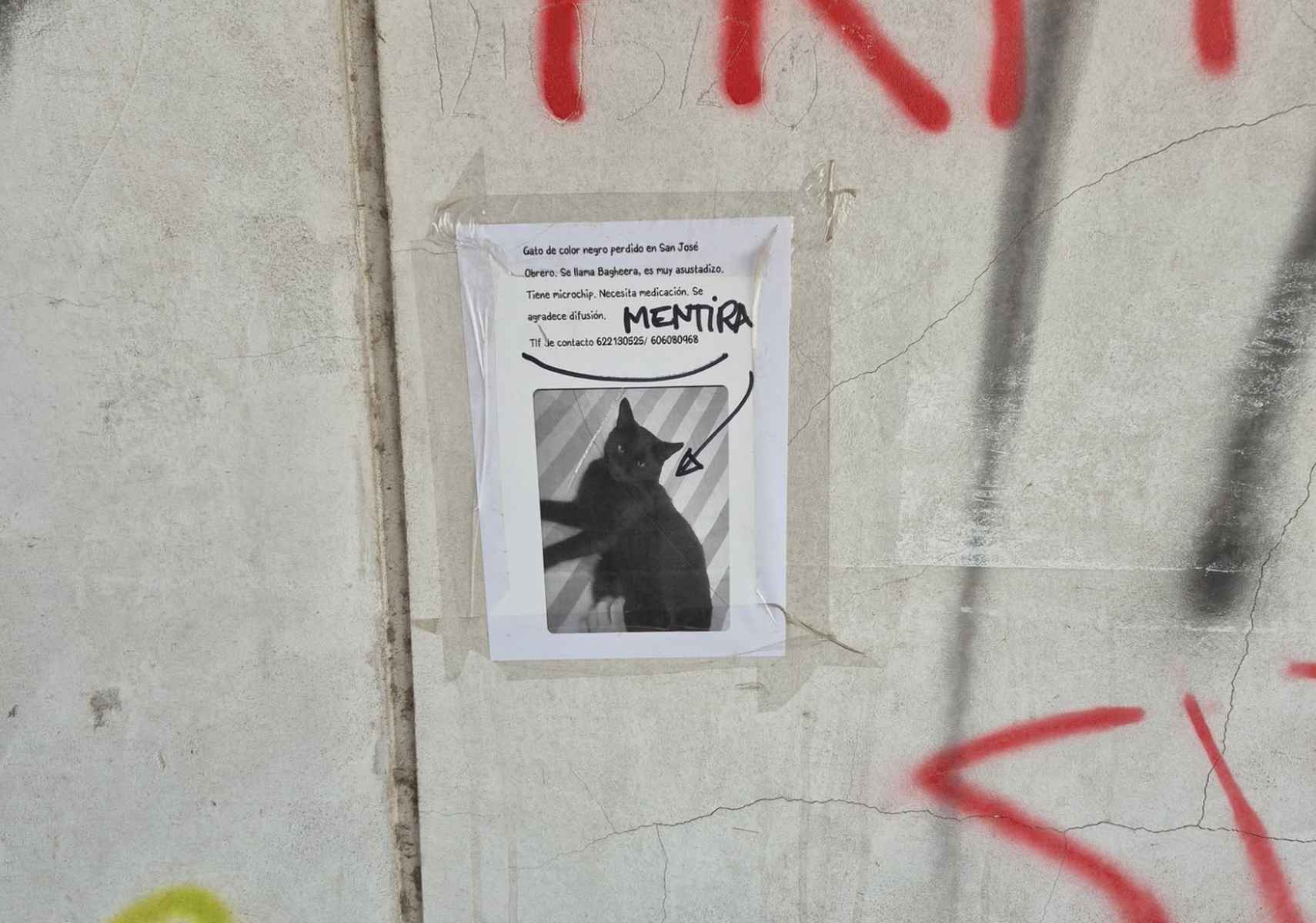 Pintada en un cartel acusando a Alejandro de inventarse la desaparición de su gato.