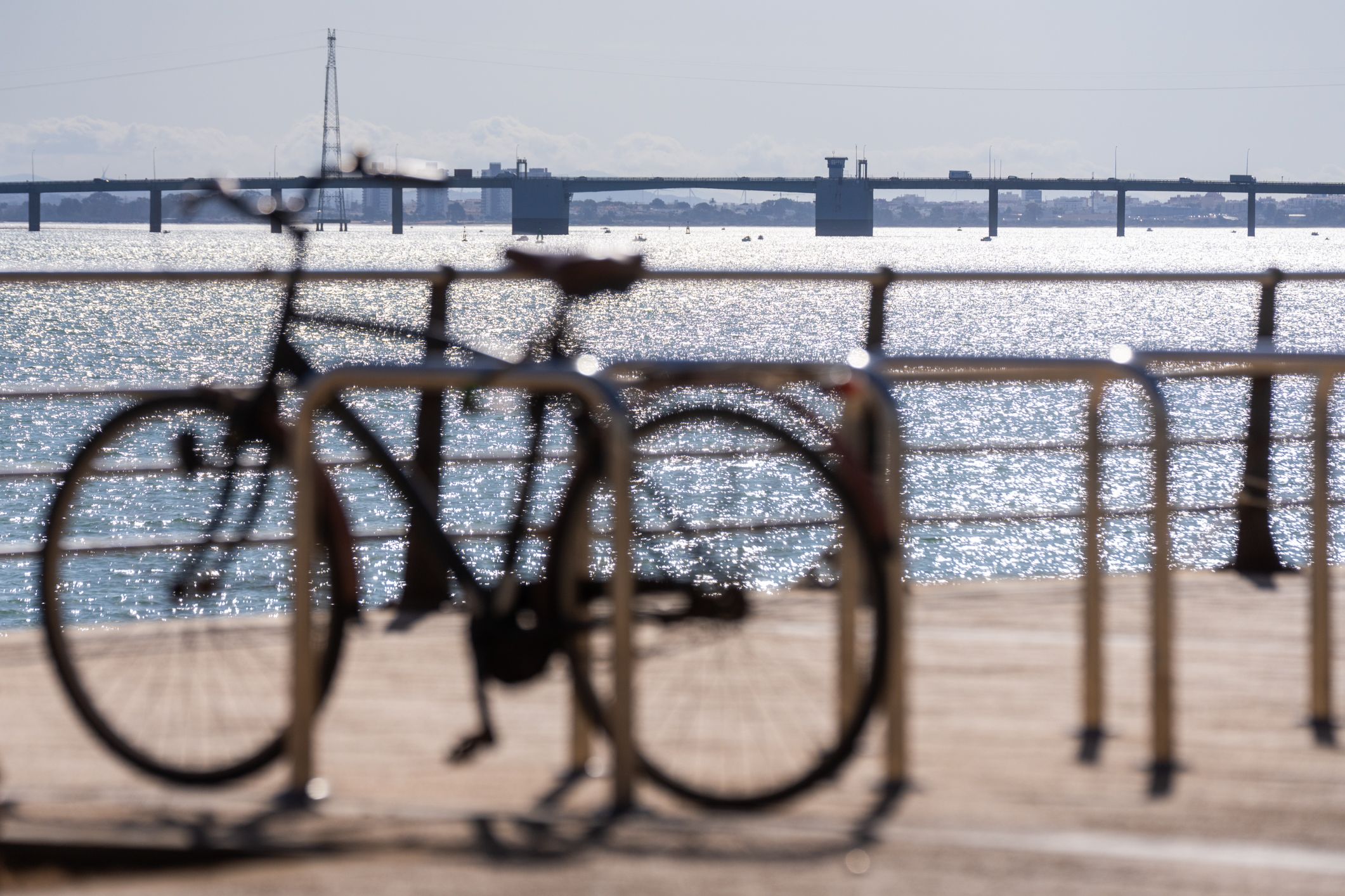 Un aparcamiento de biciletas en la avenida de la Bahía de Cádiz con el puente Carranza al fondo.