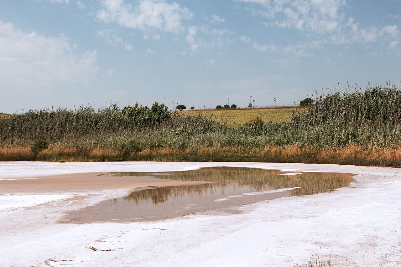 salinillas_-_estella