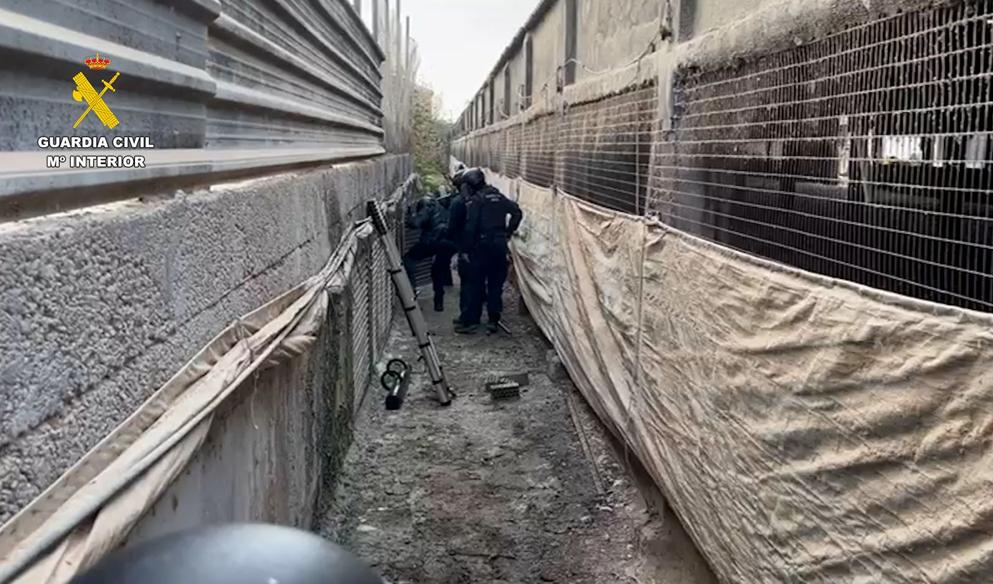 Plantación oculta en una granja avícola de Sanlúcar.