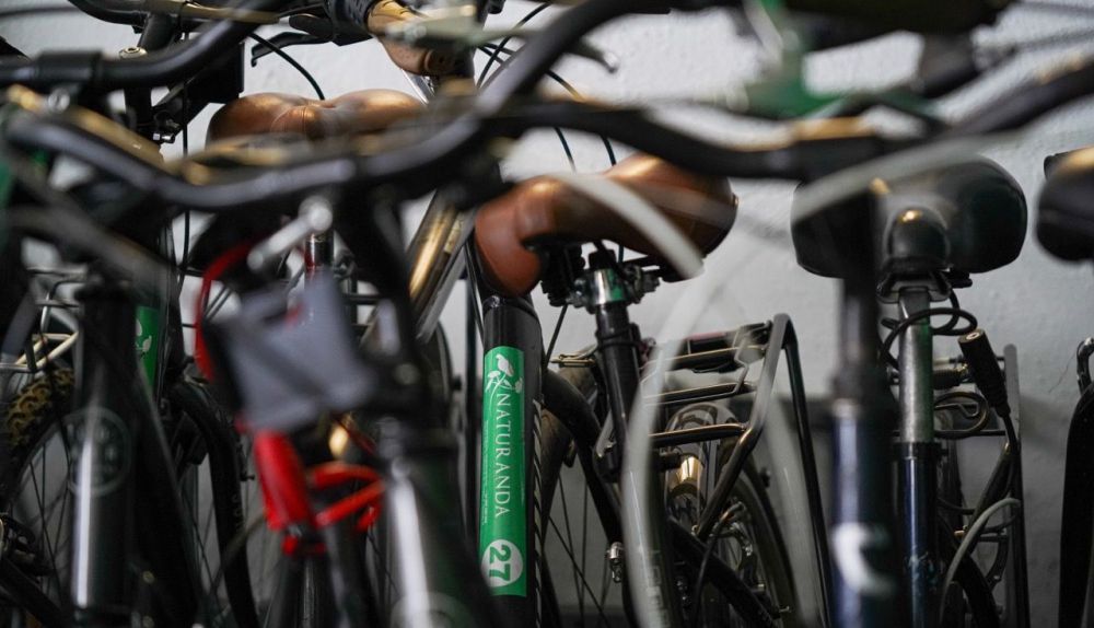 La Voz Del Sur Naturanda 6 en tamaño grande