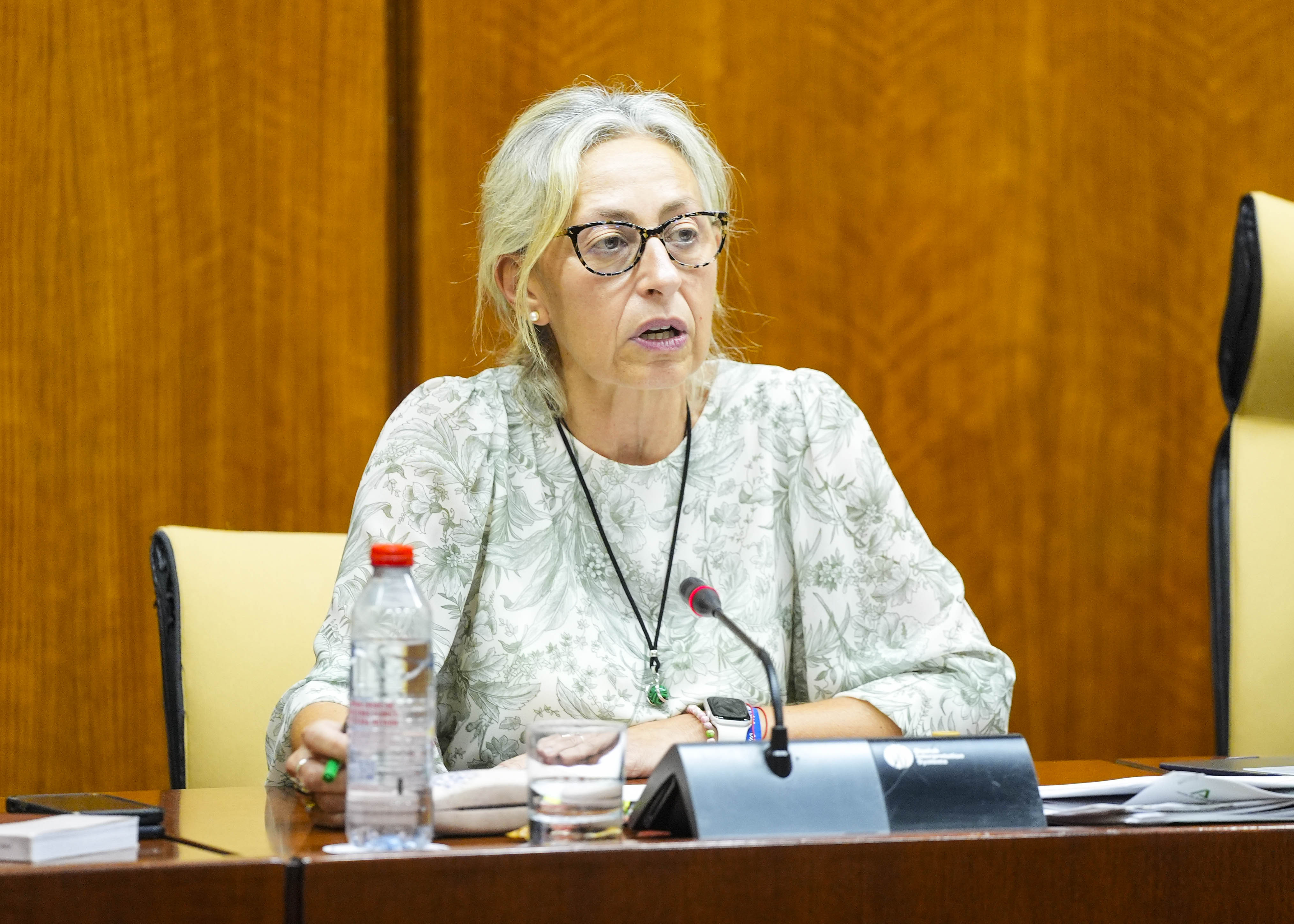 La consejera de Salud, Rocío Hernández, en el Parlamento esta semana.