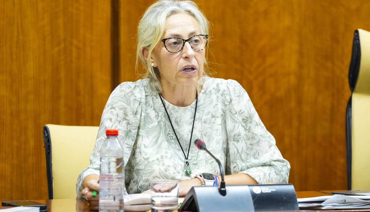 La consejera de Salud, Rocío Hernández, en el Parlamento esta semana.