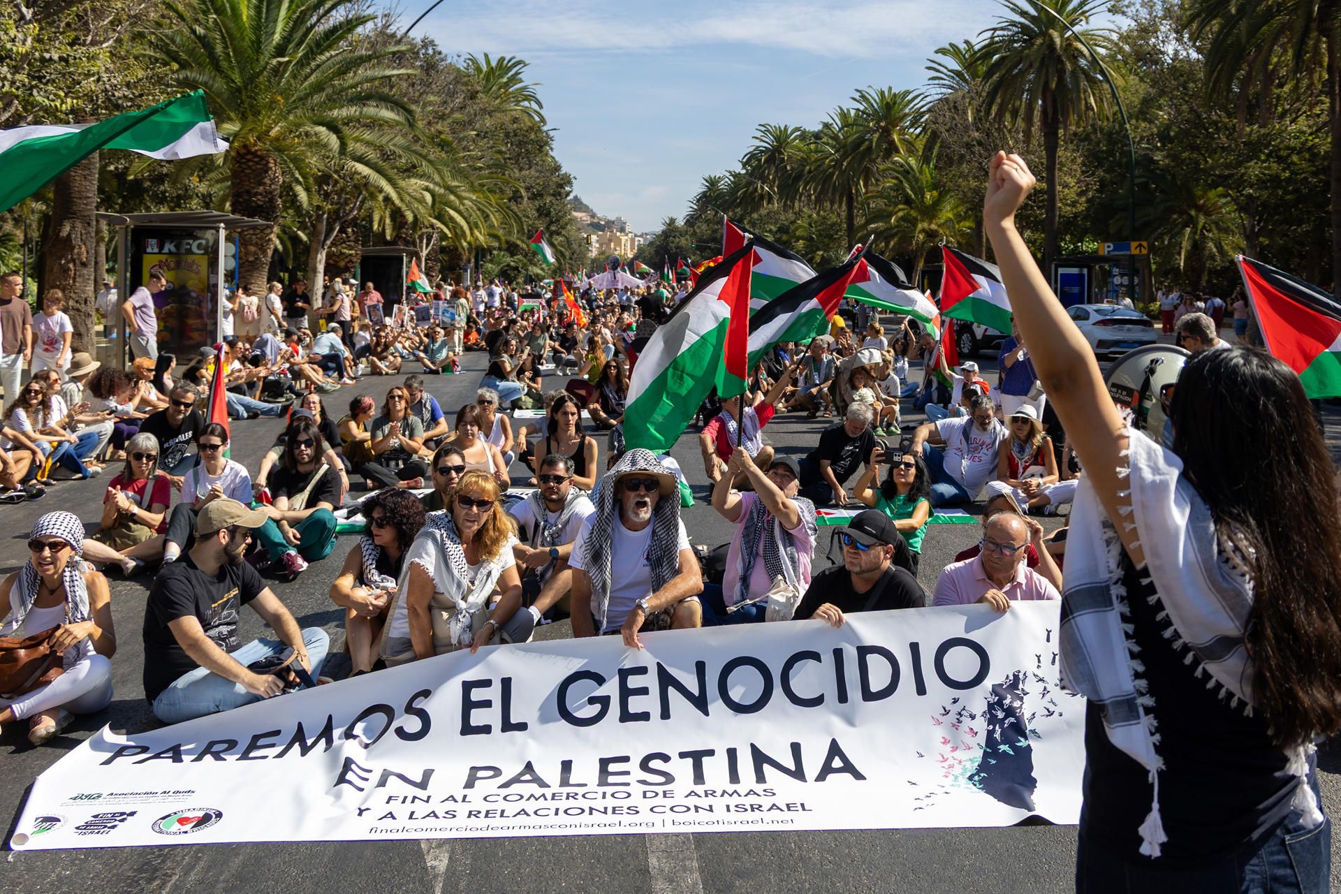 Manifestación en Sevilla en apoyo a Palestina. Manifestación en Sevilla en apoyo a Palestina.