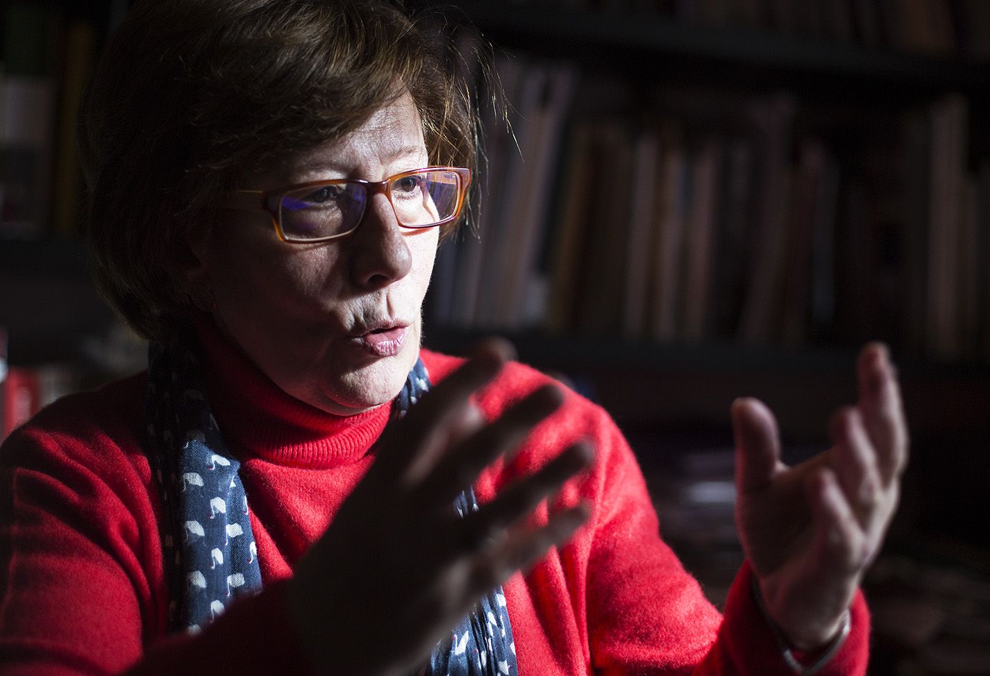 javierfergo_rosalia-arq_05a