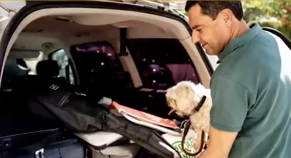 El presidente Juanma Moreno, con su perro Toby, fallecido hace un año.