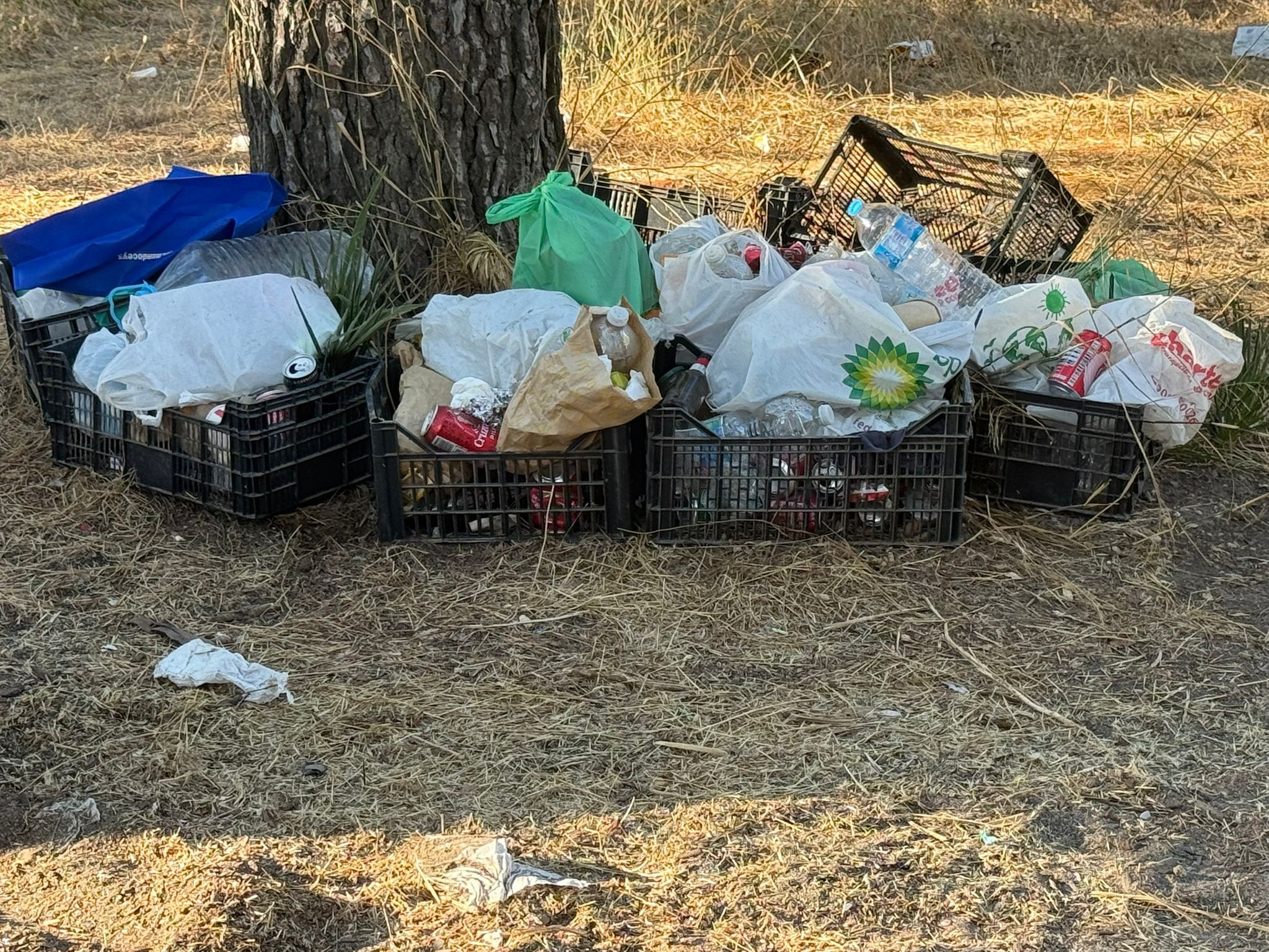 Basura acumulada en Los Pocillos.