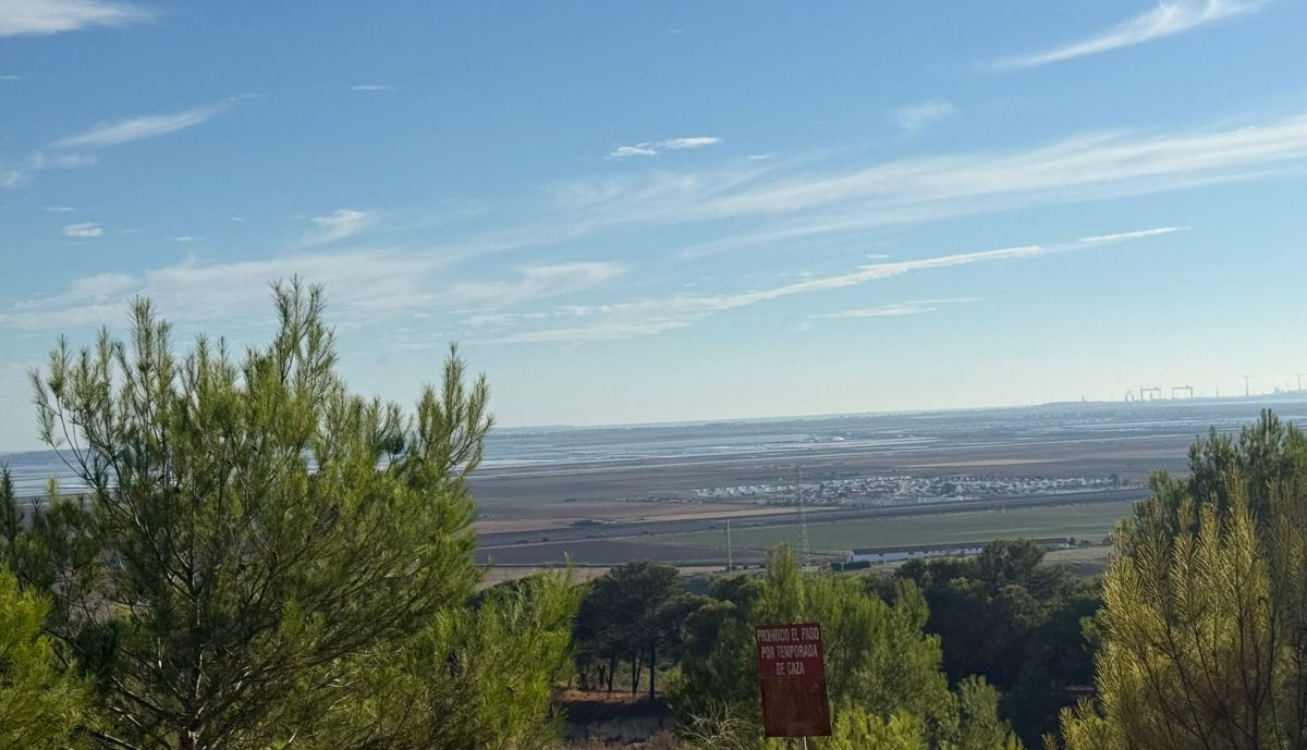 Zona de Los Pocillos donde denuncian abandono.