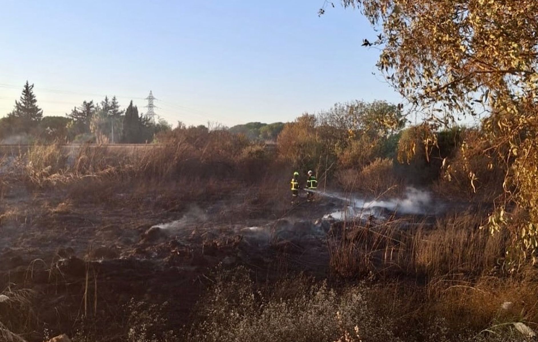 Incendio en la Dehesa de las Yeguas, en Puerto Real. Incendio en la Dehesa de las Yeguas, en Puerto Real.