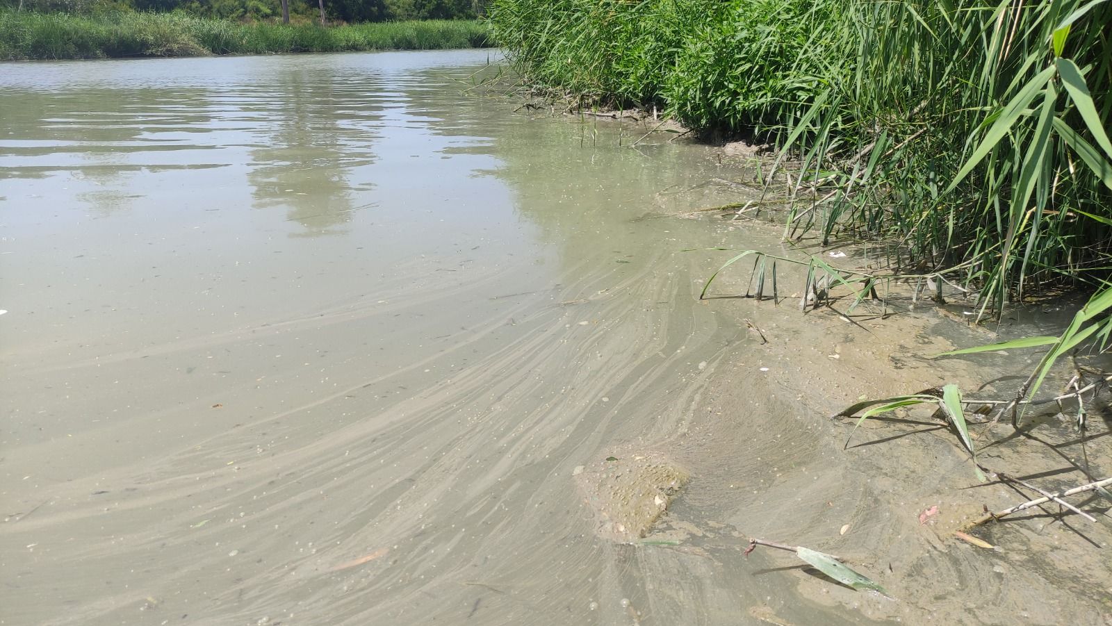 Aguas fecales en el río Guadalete a su paso por Jerez. Aguas fecales en el río Guadalete a su paso por Jerez.