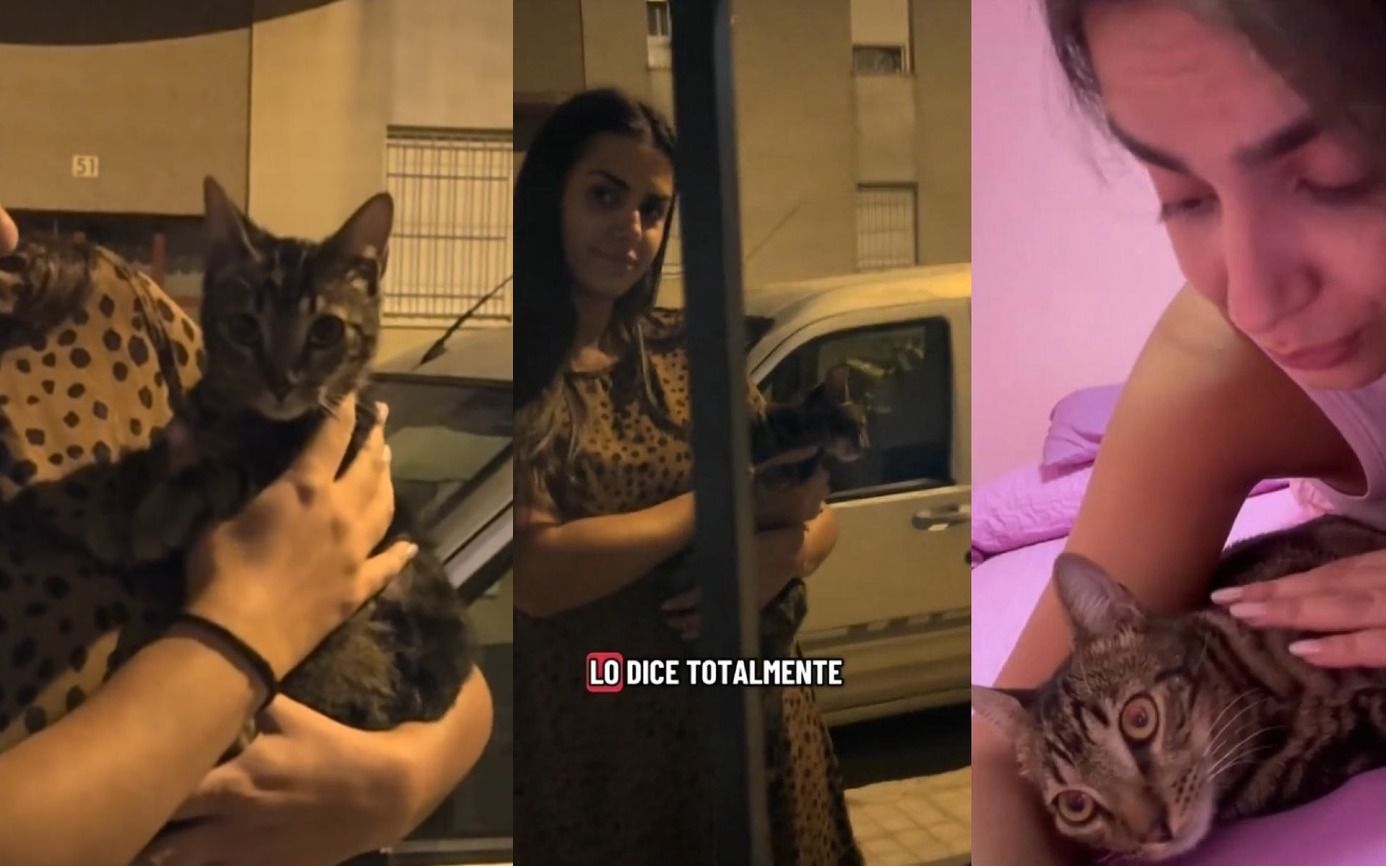 La historia de Ricardito, un gato que ha 'adoptado' a Desi.