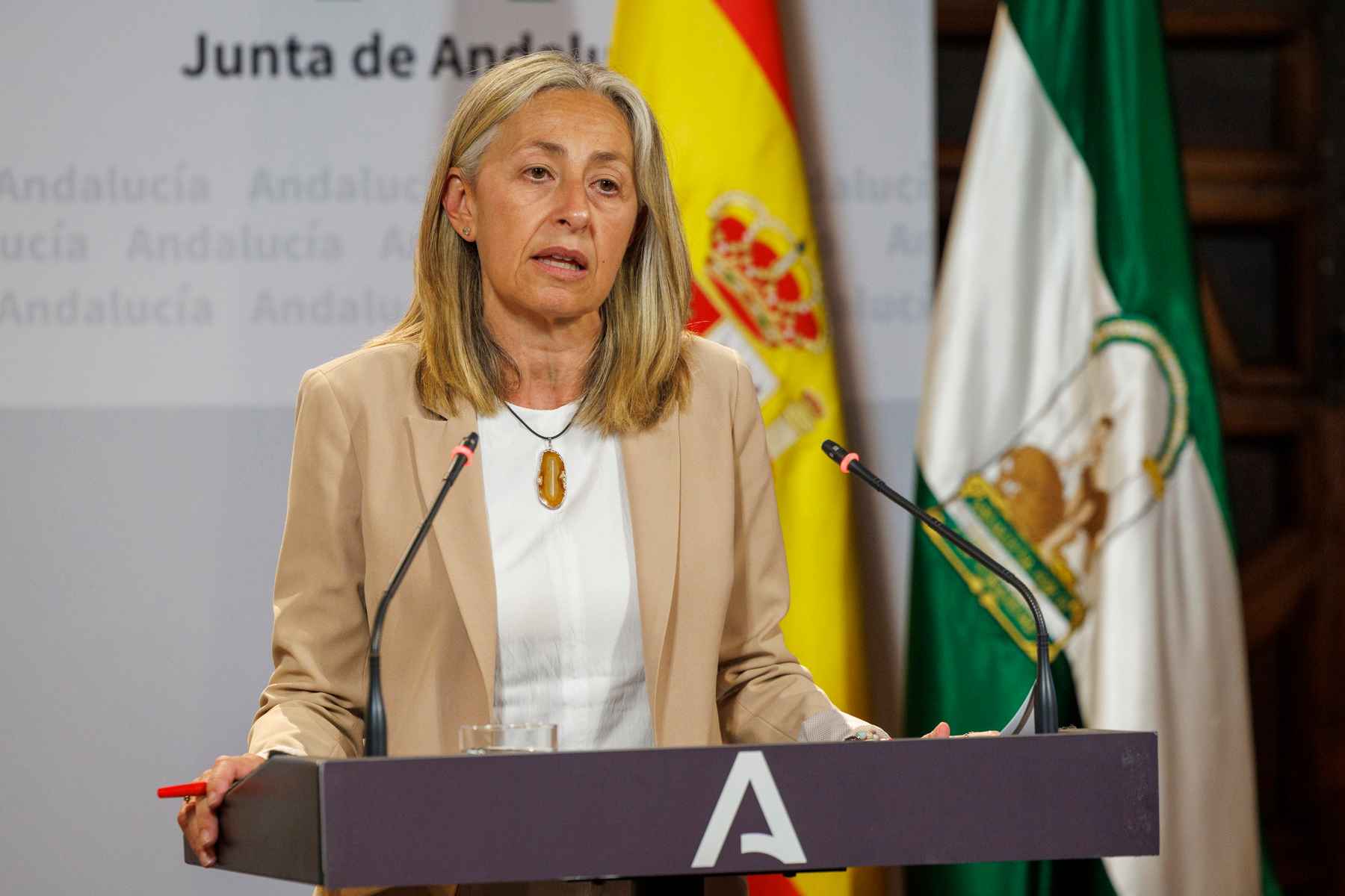 La ya exconsejera de Salud, Rocío Hernández. EFE/JULIO MUÑOZ La ya exconsejera de Salud, Rocío Hernández. EFE/JULIO MUÑOZ