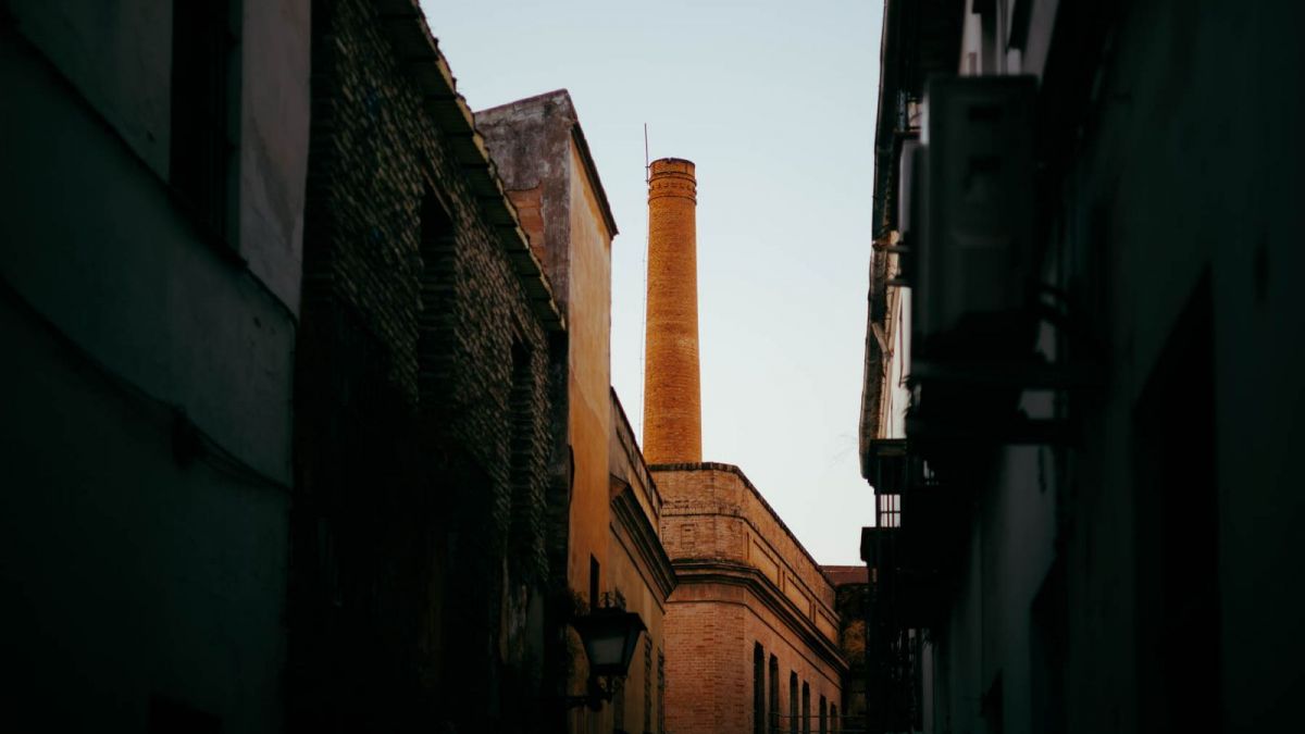 WhatsApp Image 2025 10 07 at 10.41.16 (1)