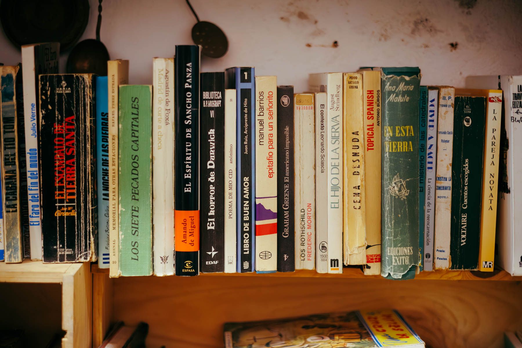 Libros en una estantería.