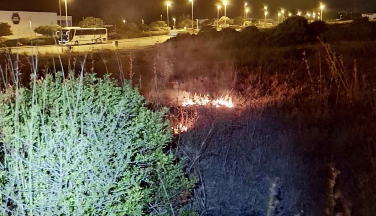 Zona afectada por el incendio.