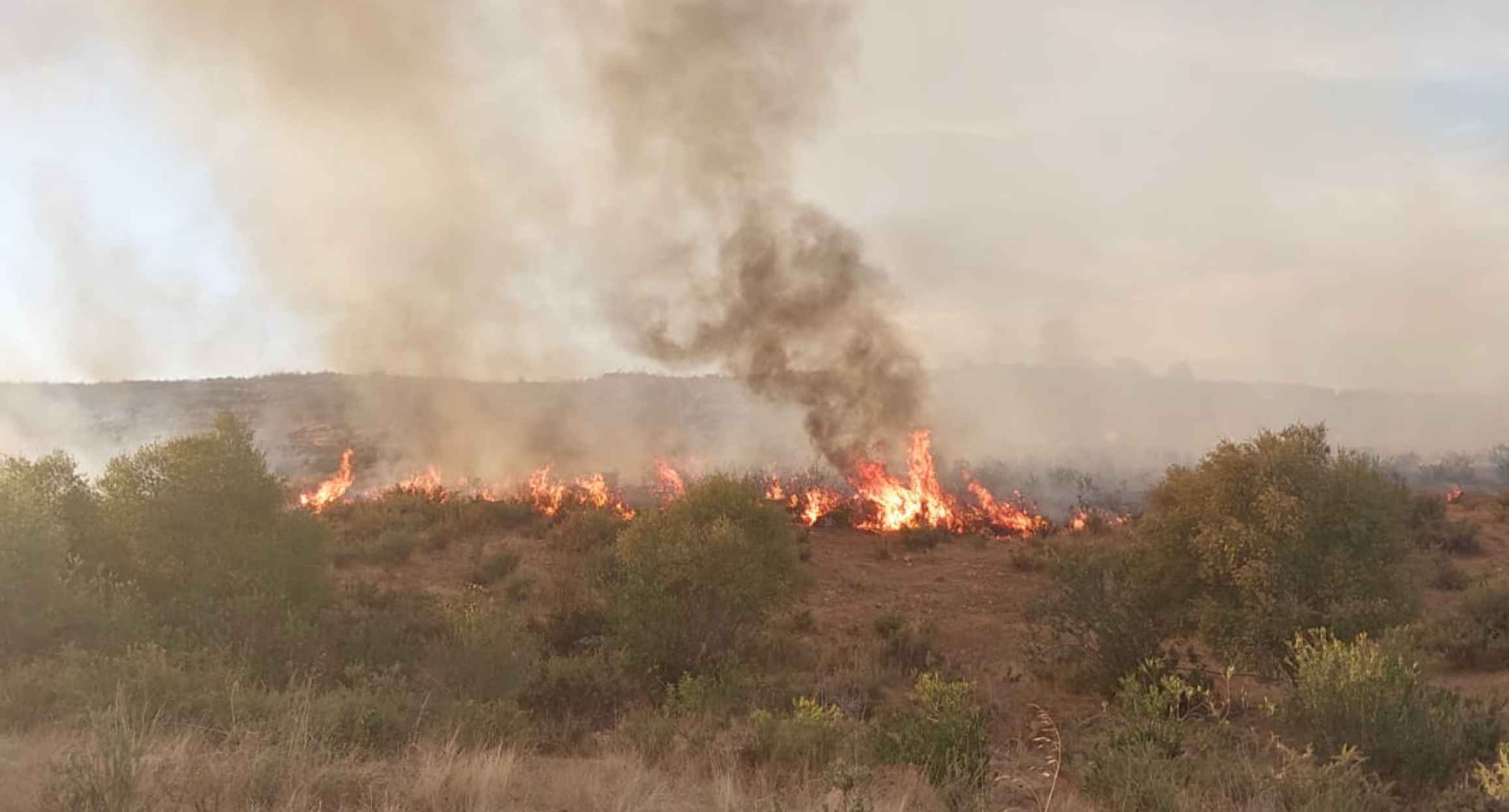 Imagen del incendio declarado en El Castillo de las Guardas. Imagen del incendio declarado en El Castillo de las Guardas.