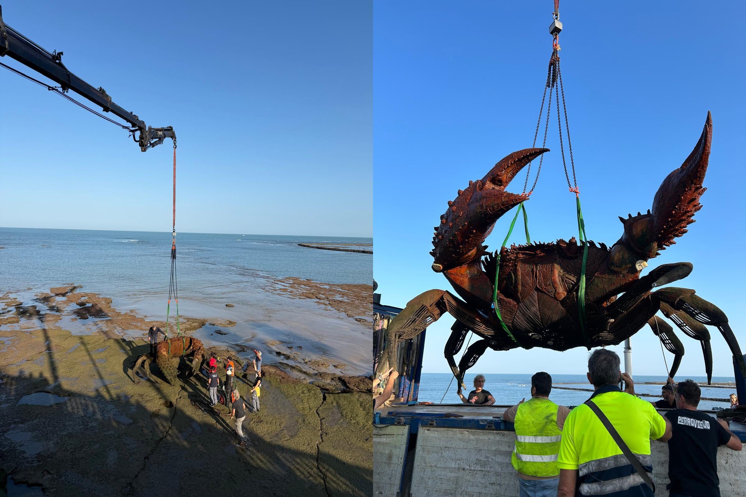 Los cangrejos en su retirada este viernes. Los cangrejos en su retirada este viernes.