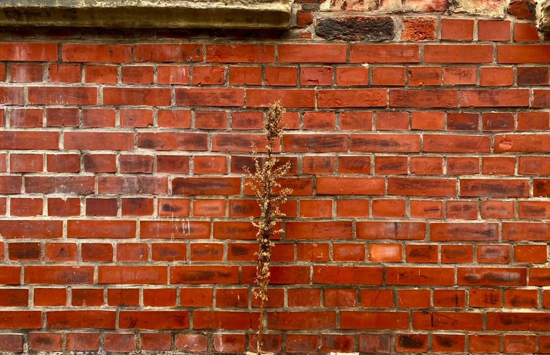 Las ruinas de este mundo, por Pablo Martínez-Calleja.