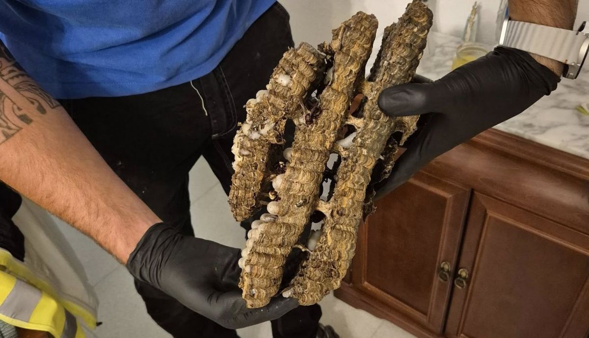 560689303 3742953302502303 4075168188223026478 n