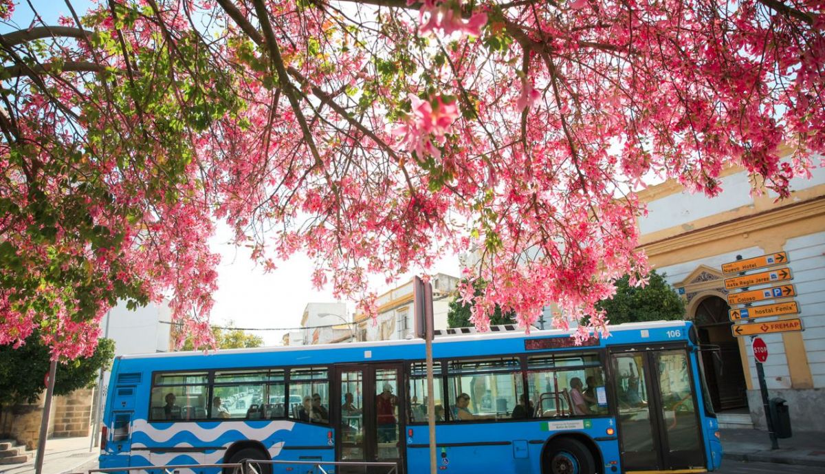 palos borrachos jerez JUAN CARLOS TORO 2