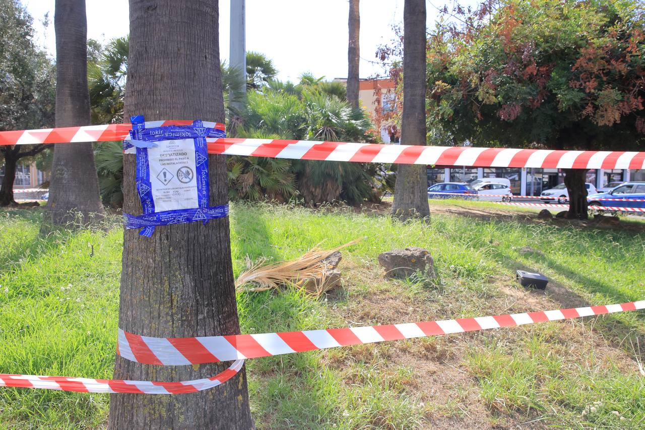 La rotonda de Cuatro Caminos, en Jerez, precintada.