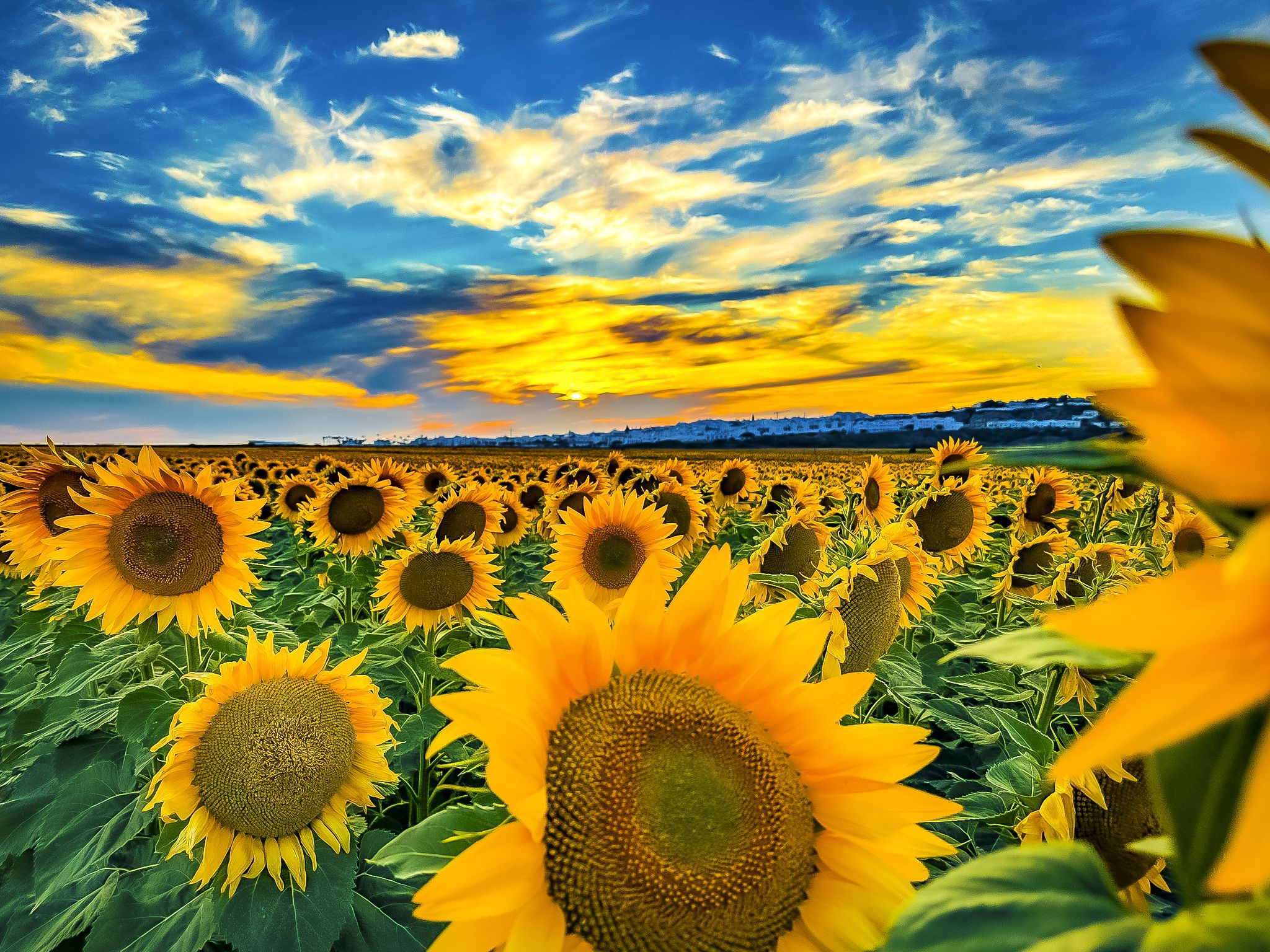 Fotografía de Antonio José Verano Quintero, que ha obtenido una mención especial. Fotografía de Antonio José Verano Quintero, que ha obtenido una mención especial.