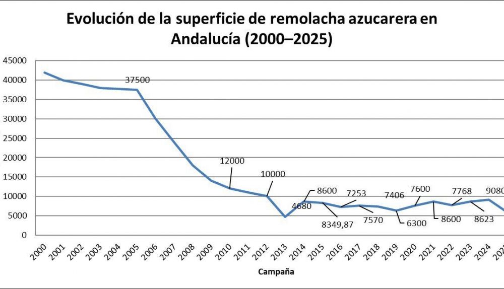 Evolución de la remolacha azucarera.