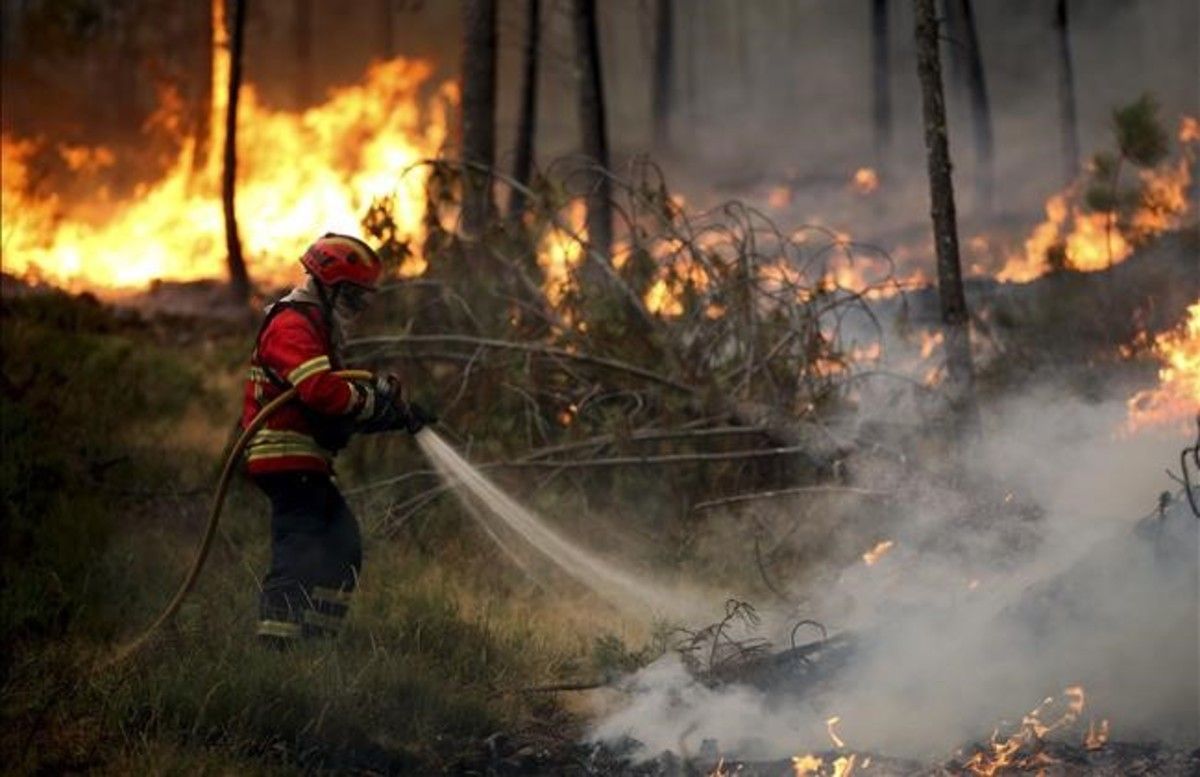 incendio-madeira-portugal.jpg