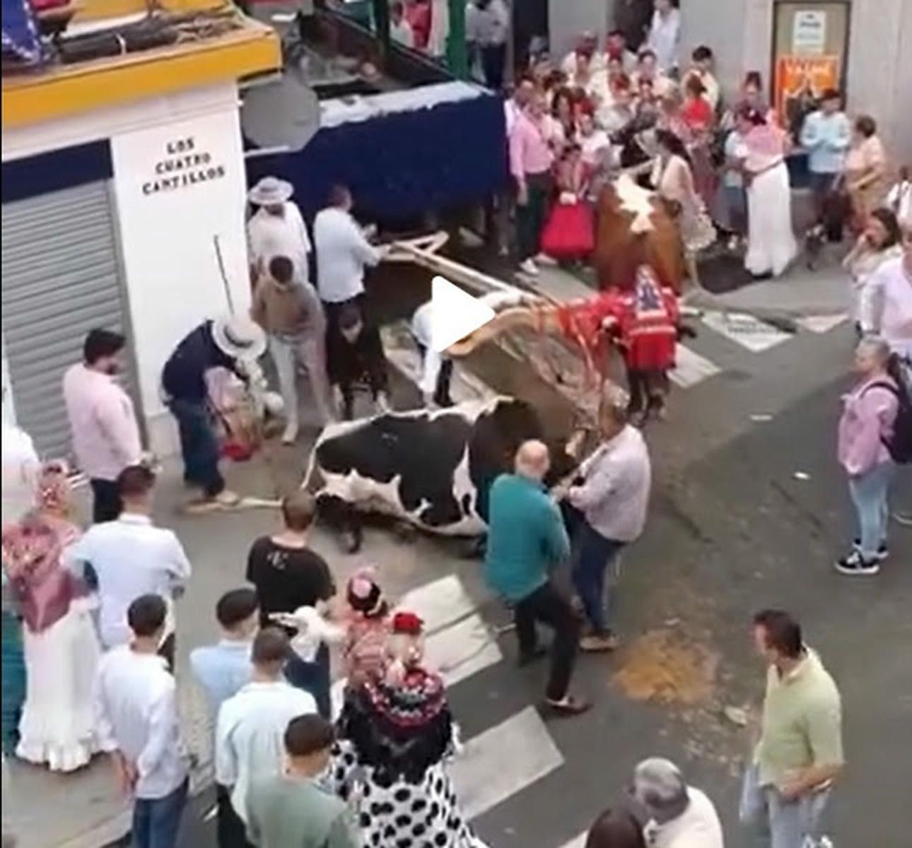 El momento que denuncia Pacma en la Romería de Valme. El momento que denuncia Pacma en la Romería de Valme.