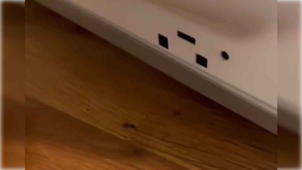 Una imagen del vídeo compartido por los clientes donde se puede apreciar una hormiga.