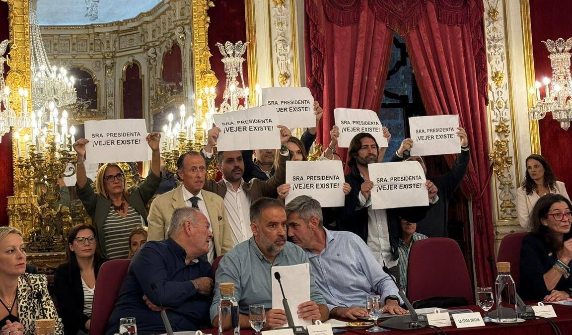 Carteles reivindicativos en el pleno de la Diputación Provincial de Cádiz.