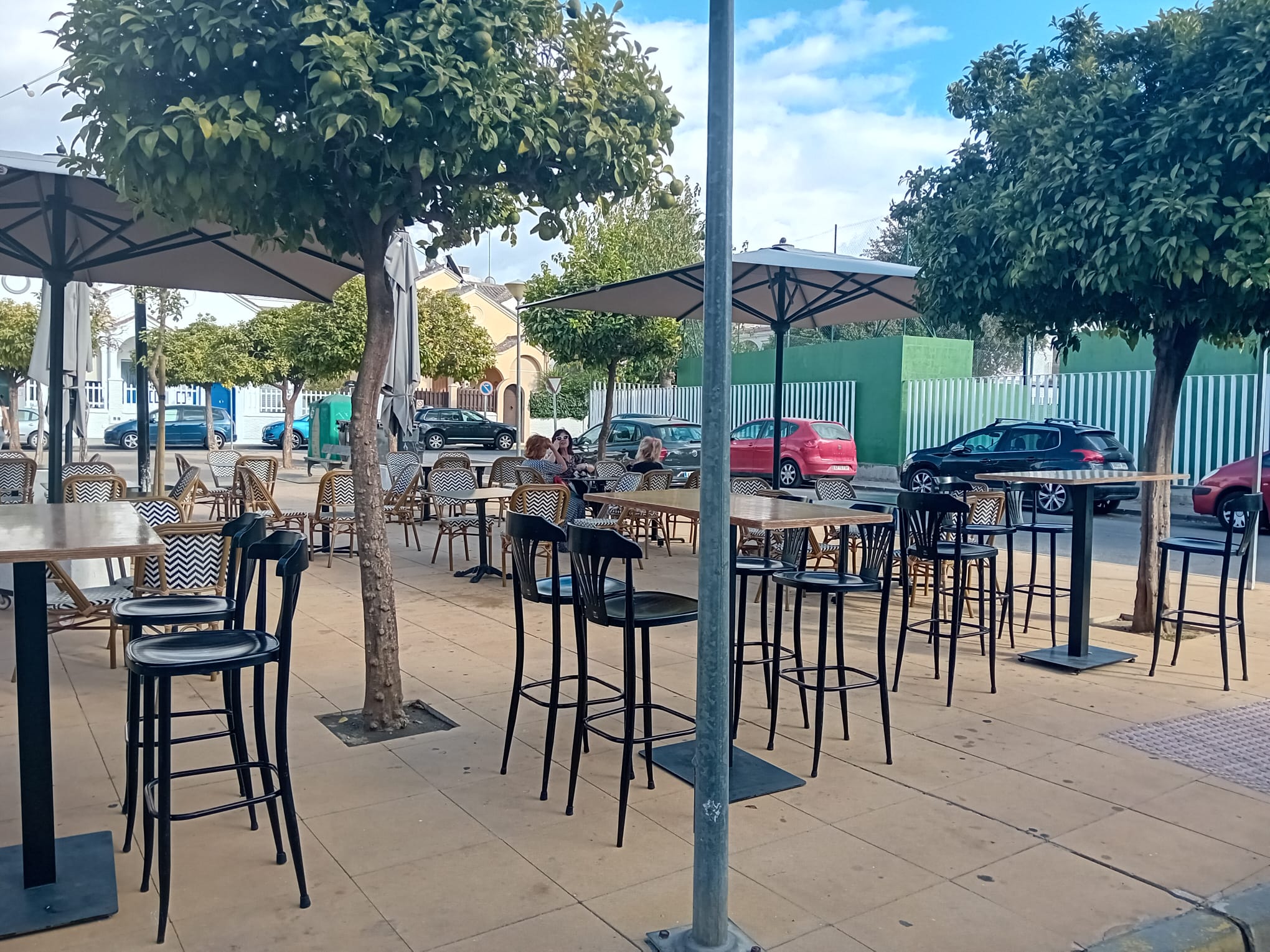 En primer término, el nuevo naranjito que ha sembrado el Ayuntamiento para sustituir al naranjo de más de 30 años talado con nocturnidad y misterio.